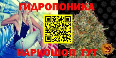 2c-b Аргун